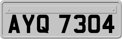 AYQ7304