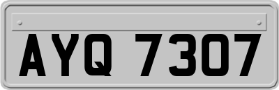 AYQ7307