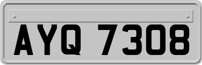AYQ7308