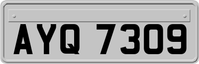 AYQ7309