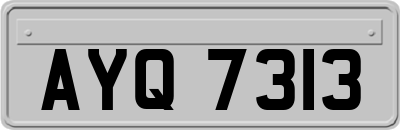 AYQ7313
