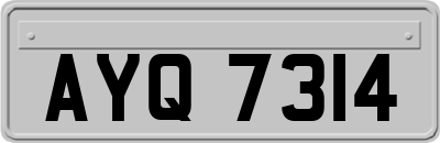 AYQ7314