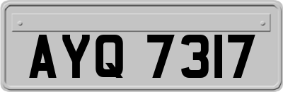 AYQ7317