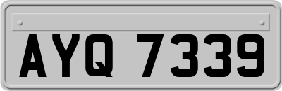AYQ7339