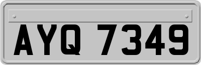 AYQ7349