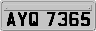 AYQ7365