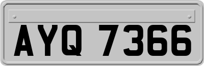 AYQ7366