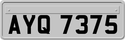 AYQ7375