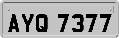 AYQ7377