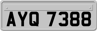 AYQ7388