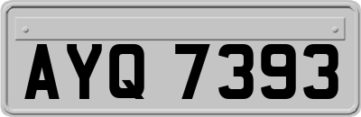 AYQ7393
