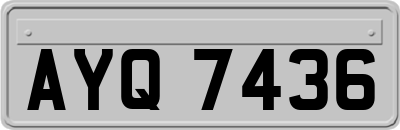 AYQ7436
