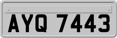 AYQ7443
