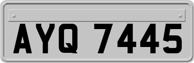 AYQ7445