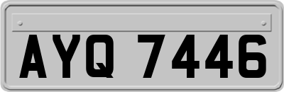 AYQ7446
