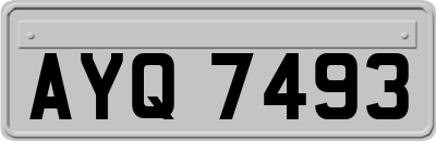 AYQ7493