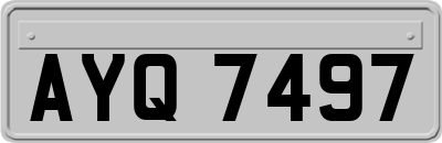 AYQ7497