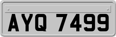 AYQ7499