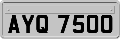 AYQ7500