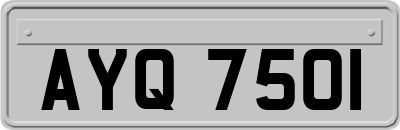 AYQ7501