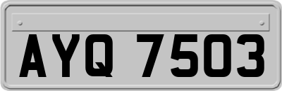 AYQ7503