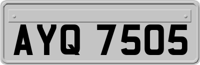 AYQ7505