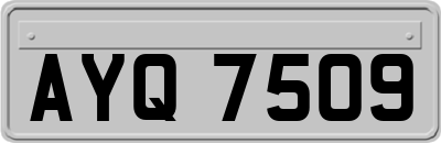 AYQ7509