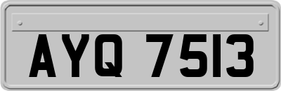 AYQ7513