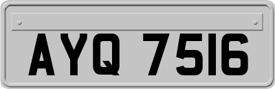 AYQ7516