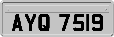 AYQ7519