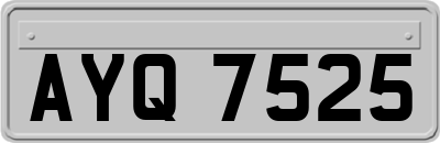 AYQ7525