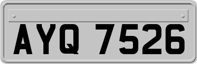 AYQ7526