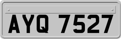 AYQ7527