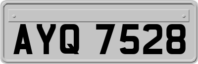 AYQ7528