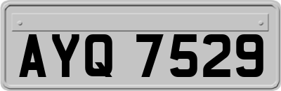 AYQ7529