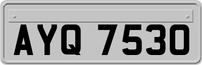 AYQ7530