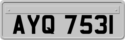 AYQ7531