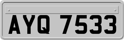AYQ7533