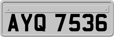AYQ7536