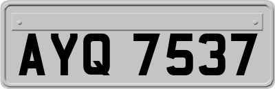 AYQ7537
