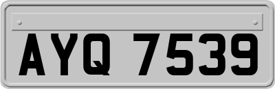 AYQ7539