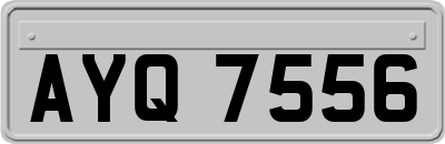 AYQ7556