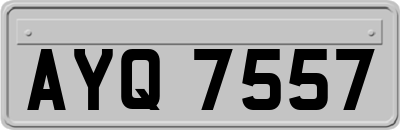 AYQ7557