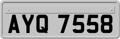 AYQ7558