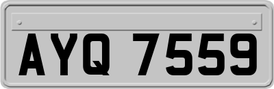 AYQ7559