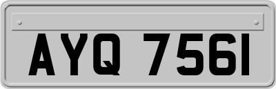 AYQ7561