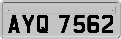AYQ7562