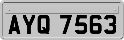 AYQ7563
