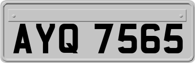 AYQ7565