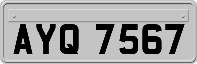 AYQ7567